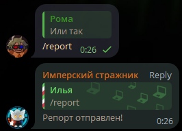 Report